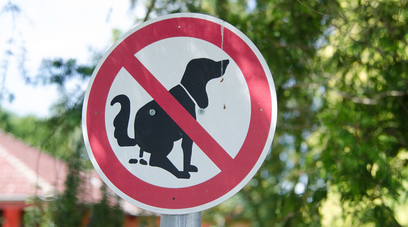 Verbotsschild Hundekot (c) Pixabay