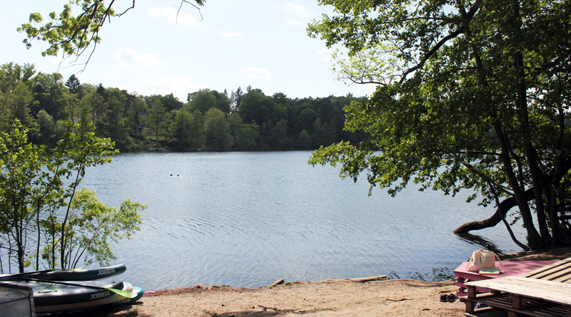 Schlachtensee und Krumme Lanke: Bürgerdialog