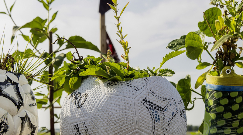 Urban Gardening Teltow