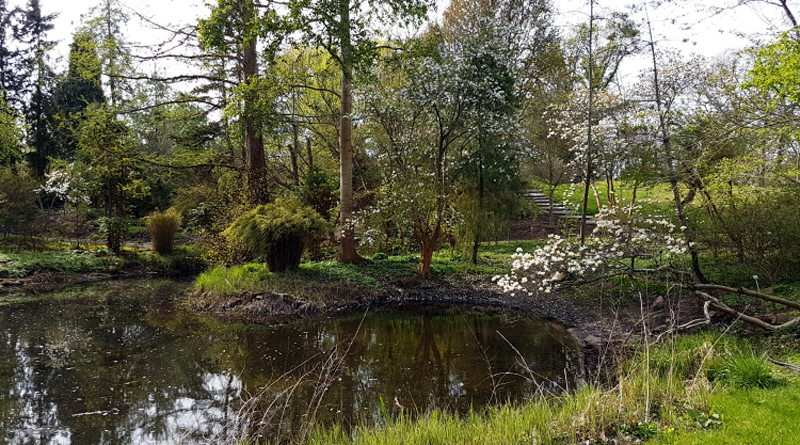 Die Freilandanlagen im Botanischen Garten Berlin dürfen wieder Besuch empfangen. Am kommenden Montag wird der genaue Termin bekannt gegeben. Derzeit können Interessierte den Frühling mit dem virtuellen Fotorundgang eerleben.