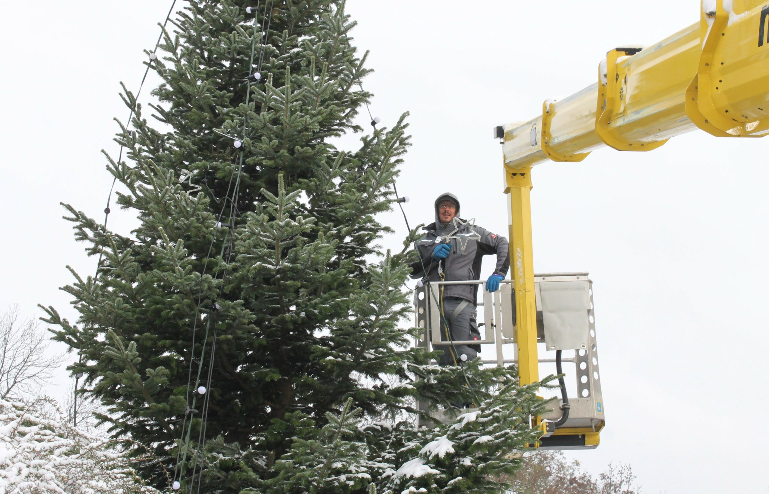 Firma Elektro Müller schmückt Weihnachtsbaum am Ruhlsdorfer Platz