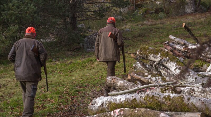 Das Jagdjahr 2023/24 – Schalenwildstrecke auf sehr hohen Niveau